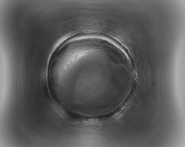 X0000086800196200704271857