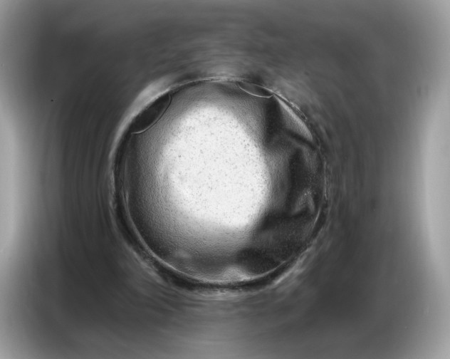 X0000086800198200704271857