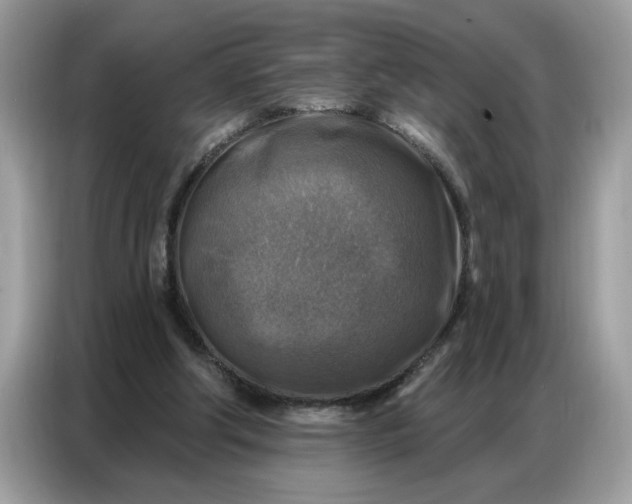 X0000086800202200704271857