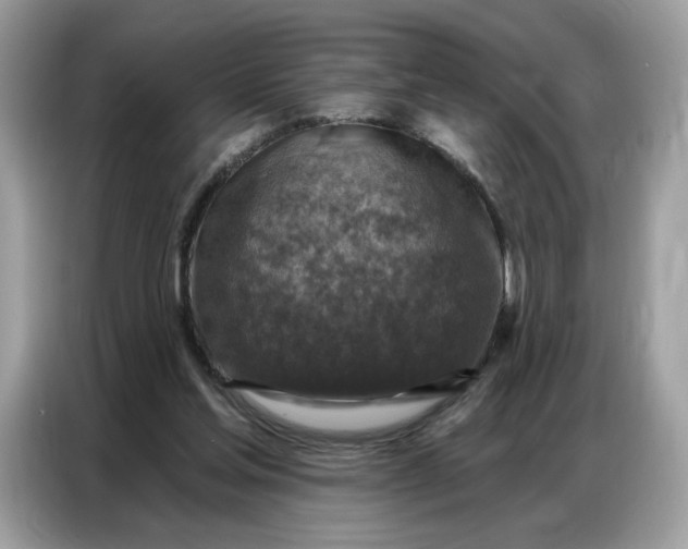 X0000086800205200704271857