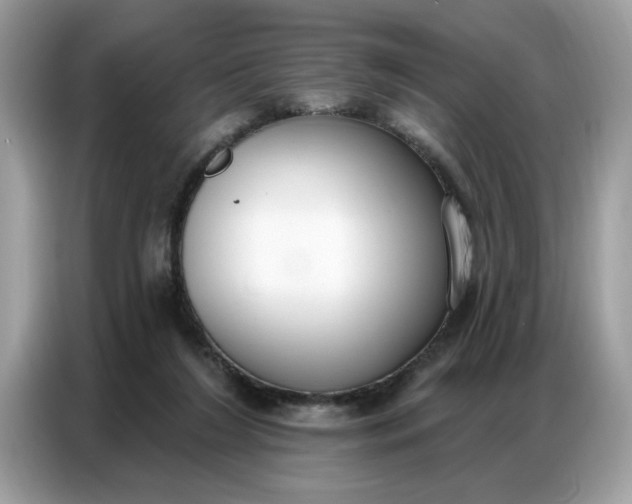 X0000086800212200704271857