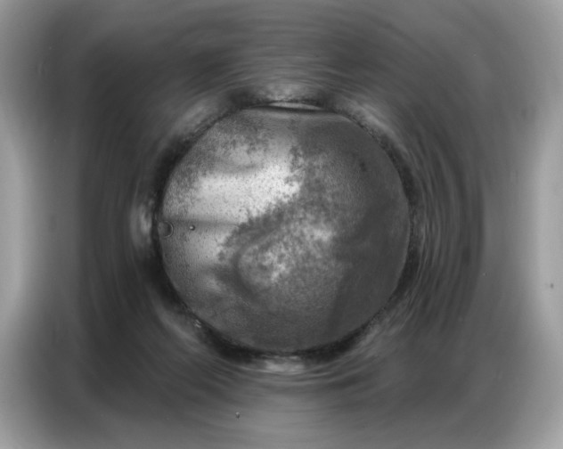 X0000086800214200704271857