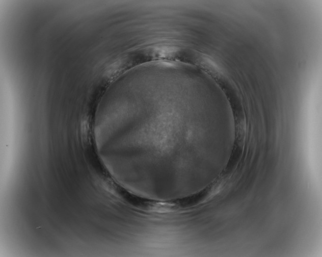 X0000086800222200704271856