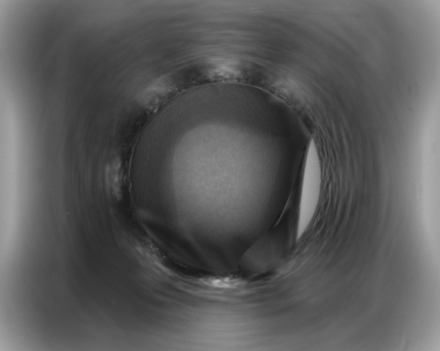 X0000086800223200704271856