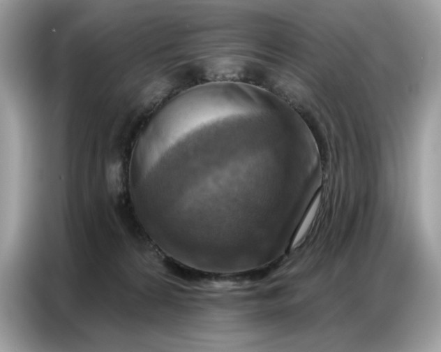 X0000086800224200704271856