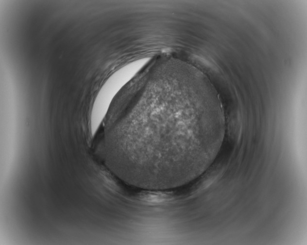 X0000086800229200704271856