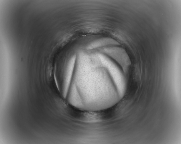 X0000086800230200704271856