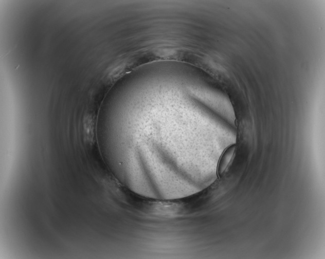 X0000086800234200704271856