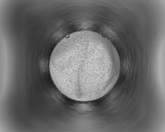 X0000086800236200704271856