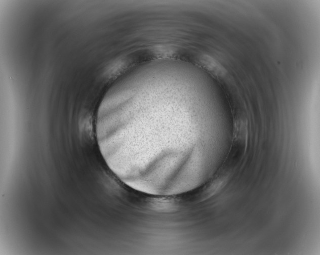 X0000086800238200704271856