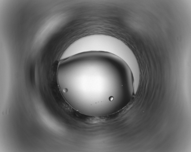 X0000086800239200704271856