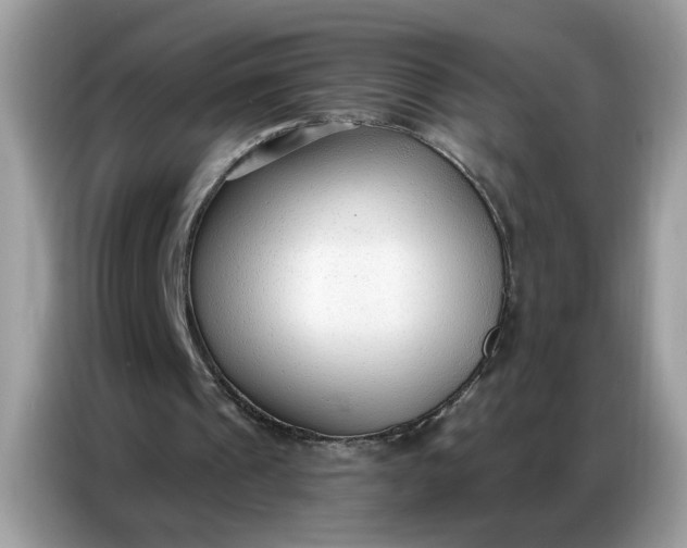 X0000086800241200704271856