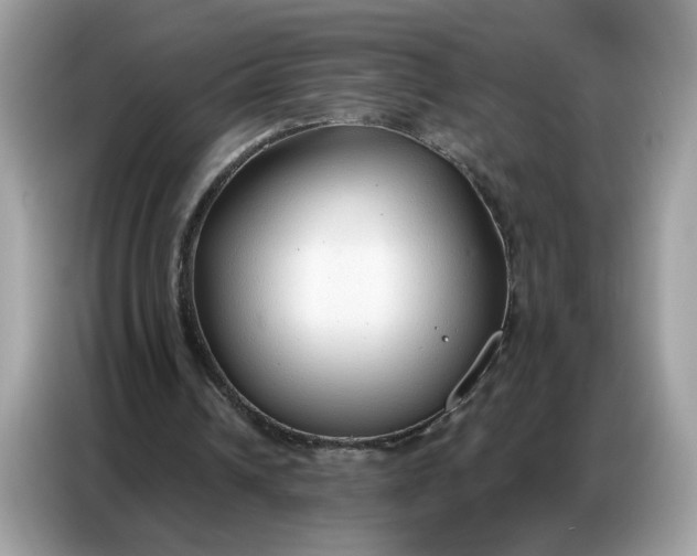 X0000086800242200704271856