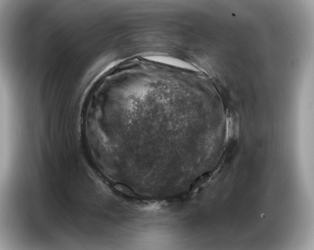 X0000086800243200704271856