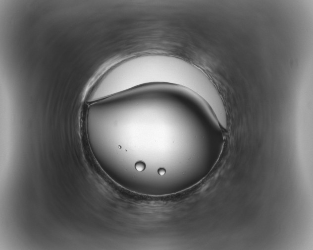 X0000086800244200704271856