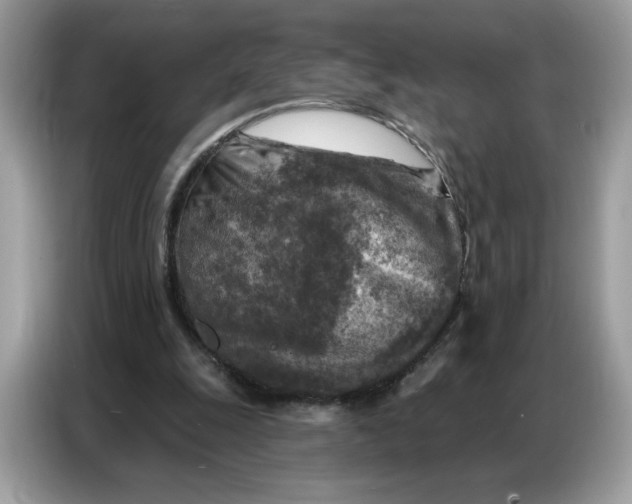 X0000086800247200704271856