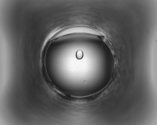 X0000086800248200704271856