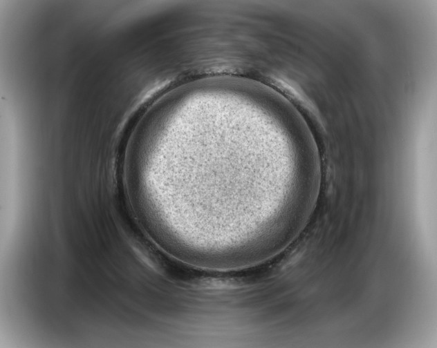 X0000086800250200704271856