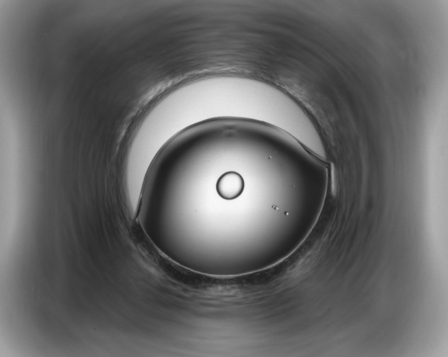 X0000086800252200704271856