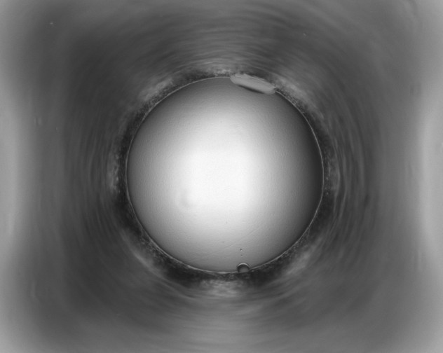 X0000086800255200704271856