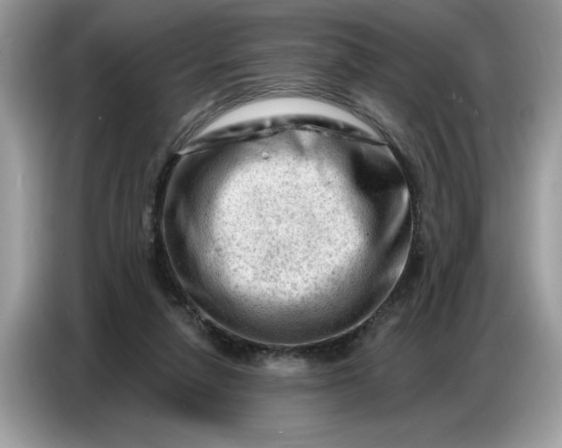 X0000086800258200704271856