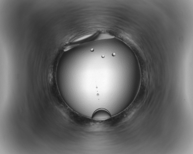 X0000086800259200704271856