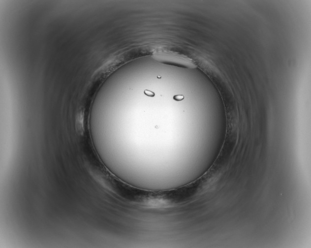 X0000086800262200704271856