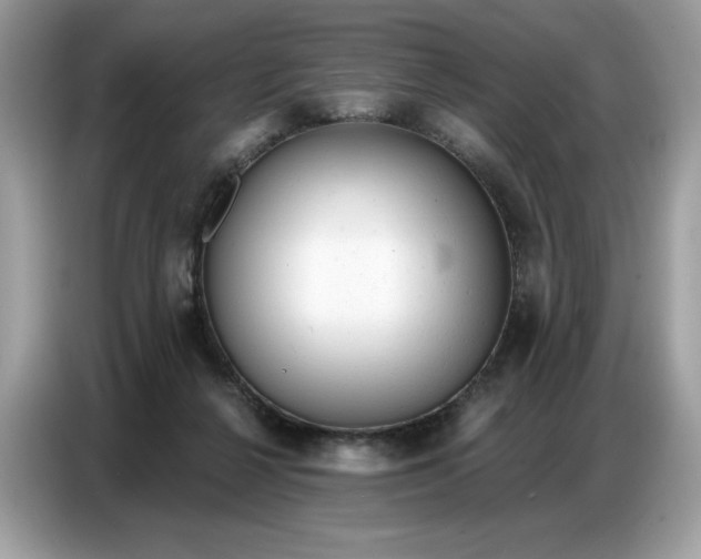 X0000086800264200704271856