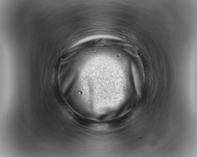 X0000086800266200704271856