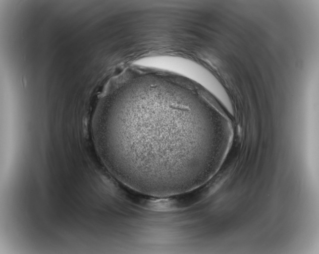 X0000086800269200704271856