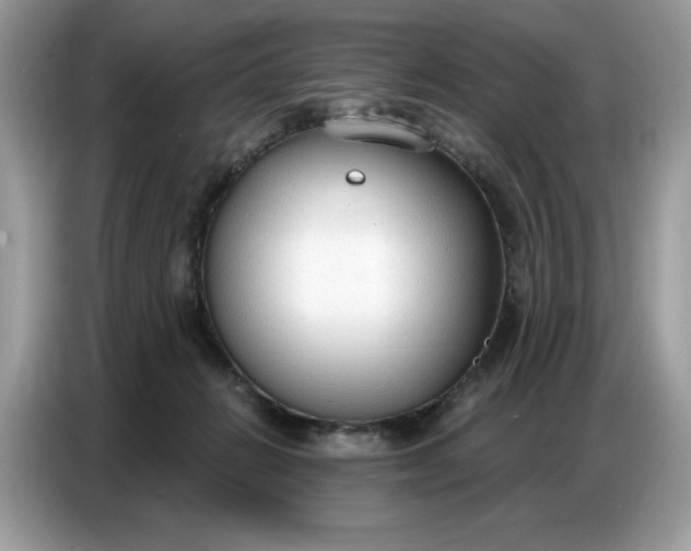 X0000086800270200704271856