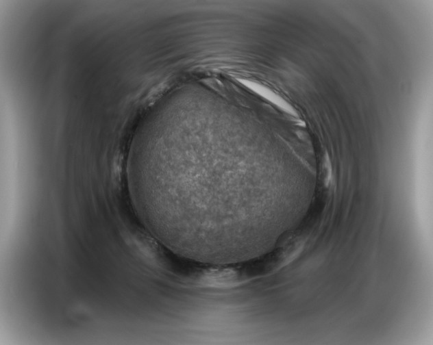 X0000086800271200704271856