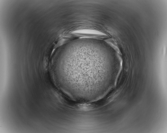 X0000086800273200704271856