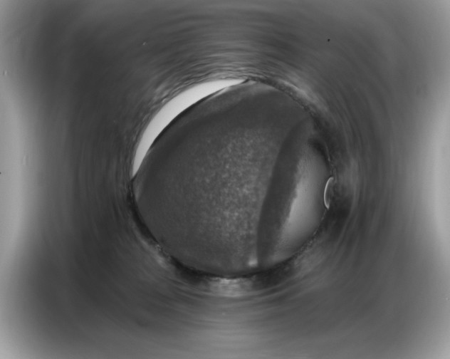 X0000086800277200704271856