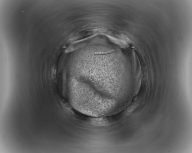 X0000086800281200704271856