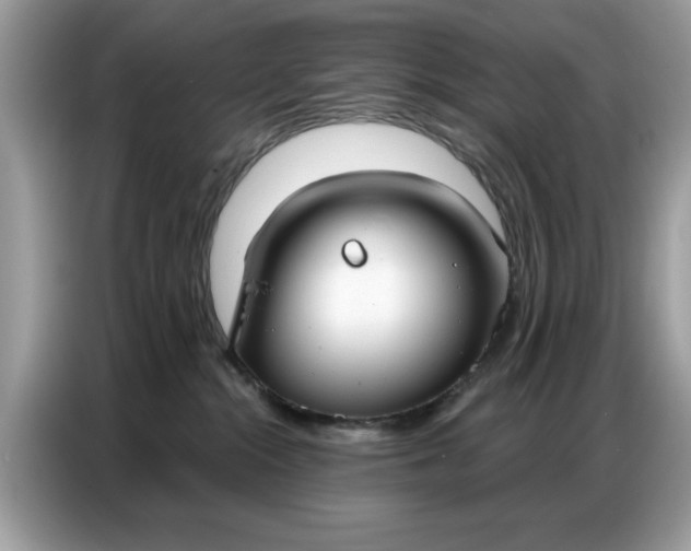 X0000086800284200704271856