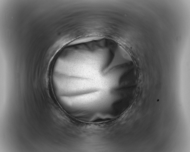 X0000086800290200704271856