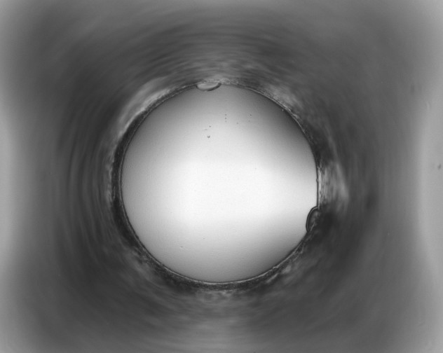 X0000086800291200704271856