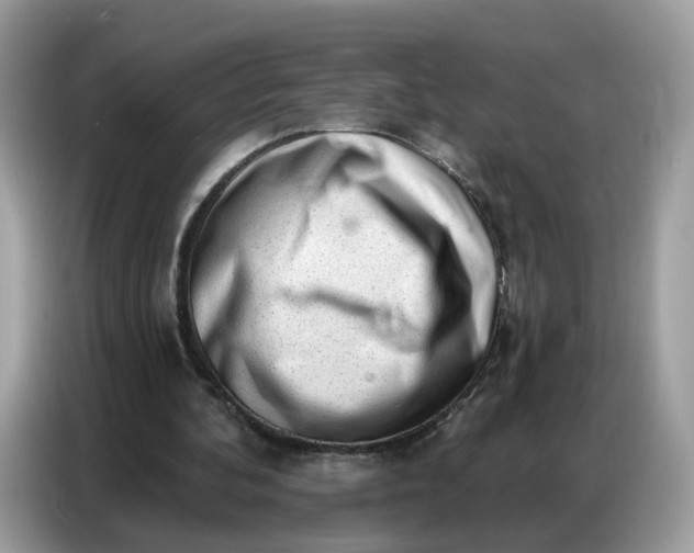 X0000086800292200704271856