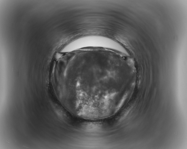 X0000086800303200704271855