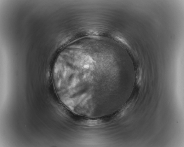 X0000086800314200704271855