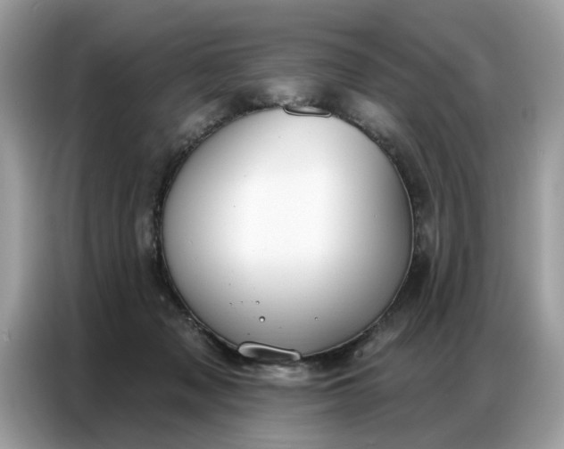 X0000086800317200704271855