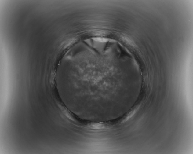 X0000086800325200704271855