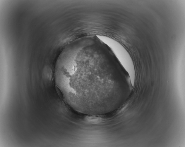 X0000086800331200704271855