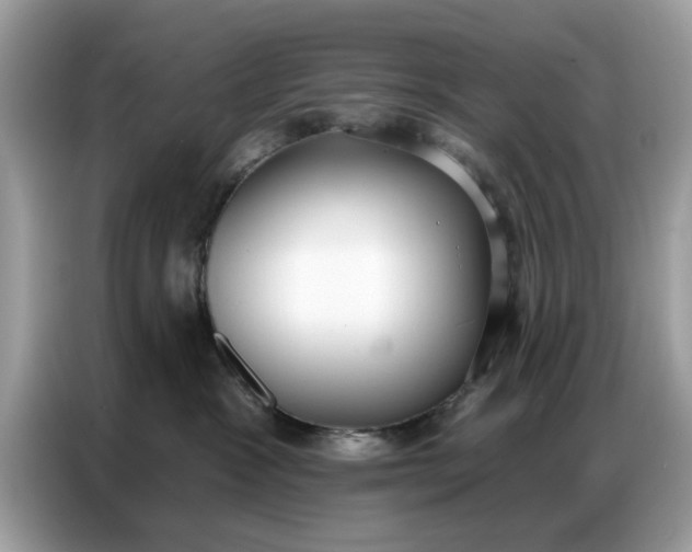 X0000086800333200704271855