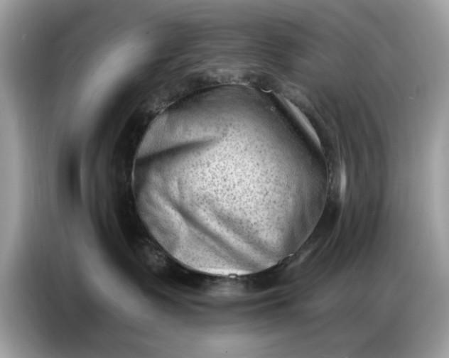 X0000086800335200704271855