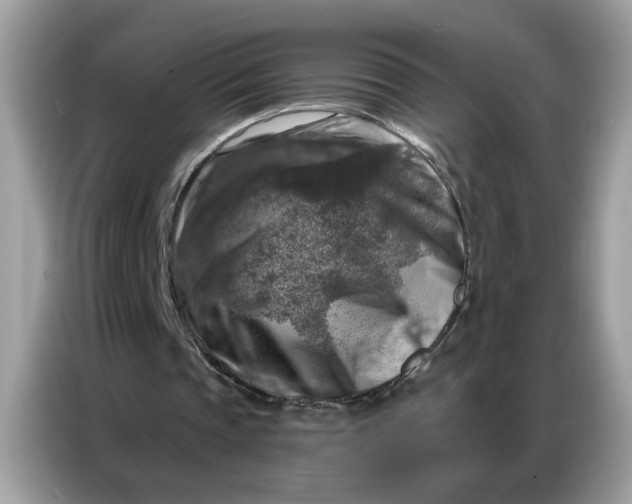 X0000086800337200704271854