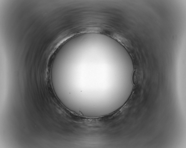 X0000086800338200704271854