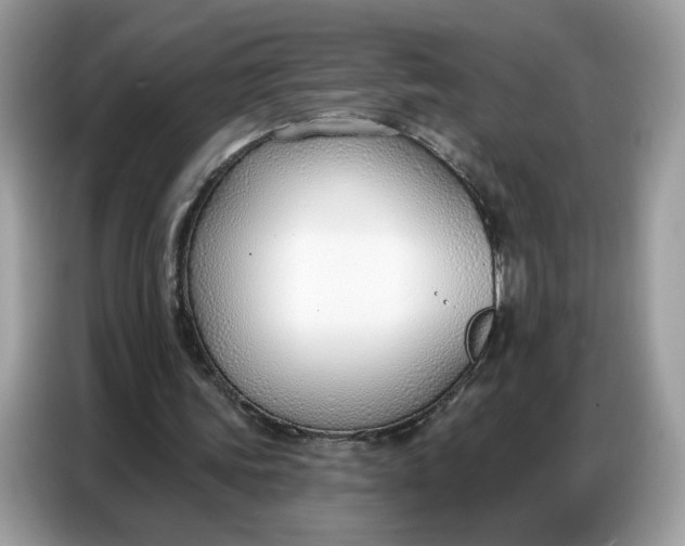 X0000086800339200704271854