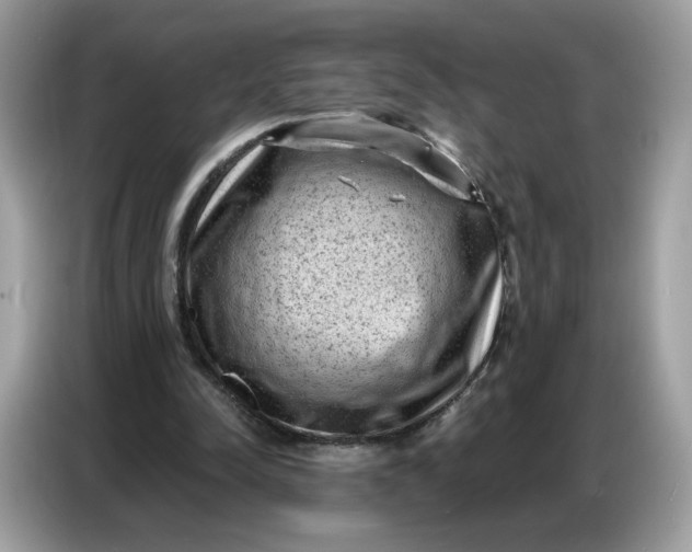 X0000086800342200704271854